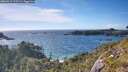 ./images/calvert/foggy-cove/20260612/foggy-cove20260612_175501M.jpg