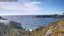 ./images/calvert/foggy-cove/20260612/foggy-cove20260612_180502M.jpg