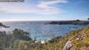 ./images/calvert/foggy-cove/20260612/foggy-cove20260612_181001M.jpg