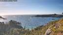 ./images/calvert/foggy-cove/20260612/foggy-cove20260612_185501M.jpg