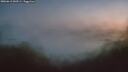 ./images/calvert/foggy-cove/20260613/foggy-cove20260613_043501M.jpg