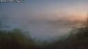 ./images/calvert/foggy-cove/20260613/foggy-cove20260613_044001M.jpg
