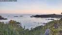 ./images/calvert/foggy-cove/20260613/foggy-cove20260613_053001M.jpg
