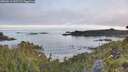 ./images/calvert/foggy-cove/20260613/foggy-cove20260613_055501M.jpg