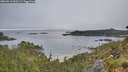 ./images/calvert/foggy-cove/20260613/foggy-cove20260613_063501M.jpg
