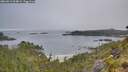 ./images/calvert/foggy-cove/20260613/foggy-cove20260613_064001M.jpg