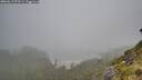 ./images/calvert/foggy-cove/20260613/foggy-cove20260613_070501M.jpg