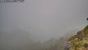 ./images/calvert/foggy-cove/20260613/foggy-cove20260613_071001M.jpg