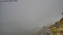 ./images/calvert/foggy-cove/20260613/foggy-cove20260613_071501M.jpg