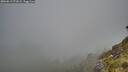 ./images/calvert/foggy-cove/20260613/foggy-cove20260613_072001M.jpg