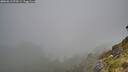 ./images/calvert/foggy-cove/20260613/foggy-cove20260613_072501M.jpg