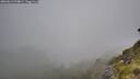 ./images/calvert/foggy-cove/20260613/foggy-cove20260613_074002M.jpg