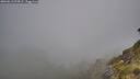 ./images/calvert/foggy-cove/20260613/foggy-cove20260613_074501M.jpg