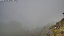 ./images/calvert/foggy-cove/20260613/foggy-cove20260613_075001M.jpg