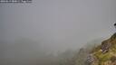 ./images/calvert/foggy-cove/20260613/foggy-cove20260613_080001M.jpg