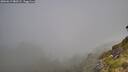./images/calvert/foggy-cove/20260613/foggy-cove20260613_080501M.jpg