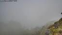 ./images/calvert/foggy-cove/20260613/foggy-cove20260613_081002M.jpg