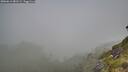 ./images/calvert/foggy-cove/20260613/foggy-cove20260613_081501M.jpg