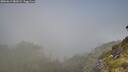 ./images/calvert/foggy-cove/20260613/foggy-cove20260613_082001M.jpg