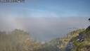 ./images/calvert/foggy-cove/20260613/foggy-cove20260613_082502M.jpg