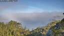 ./images/calvert/foggy-cove/20260613/foggy-cove20260613_083001M.jpg