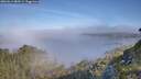 ./images/calvert/foggy-cove/20260613/foggy-cove20260613_083501M.jpg