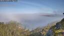 ./images/calvert/foggy-cove/20260613/foggy-cove20260613_084501M.jpg