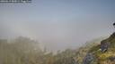./images/calvert/foggy-cove/20260613/foggy-cove20260613_085001M.jpg