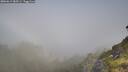 ./images/calvert/foggy-cove/20260613/foggy-cove20260613_085501M.jpg