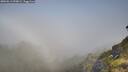 ./images/calvert/foggy-cove/20260613/foggy-cove20260613_090002M.jpg