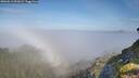 ./images/calvert/foggy-cove/20260613/foggy-cove20260613_091001M.jpg