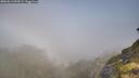 ./images/calvert/foggy-cove/20260613/foggy-cove20260613_092001M.jpg