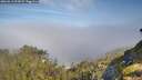 ./images/calvert/foggy-cove/20260613/foggy-cove20260613_093002M.jpg
