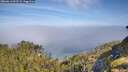 ./images/calvert/foggy-cove/20260613/foggy-cove20260613_093501M.jpg