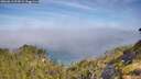 ./images/calvert/foggy-cove/20260613/foggy-cove20260613_094501M.jpg