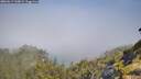./images/calvert/foggy-cove/20260613/foggy-cove20260613_100001M.jpg