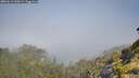 ./images/calvert/foggy-cove/20260613/foggy-cove20260613_100501M.jpg