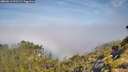 ./images/calvert/foggy-cove/20260613/foggy-cove20260613_101501M.jpg