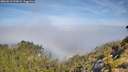 ./images/calvert/foggy-cove/20260613/foggy-cove20260613_102002M.jpg
