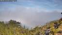 ./images/calvert/foggy-cove/20260613/foggy-cove20260613_102501M.jpg