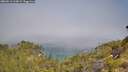 ./images/calvert/foggy-cove/20260613/foggy-cove20260613_103002M.jpg