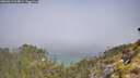 ./images/calvert/foggy-cove/20260613/foggy-cove20260613_104001M.jpg