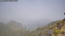 ./images/calvert/foggy-cove/20260613/foggy-cove20260613_104502M.jpg