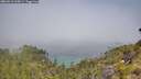 ./images/calvert/foggy-cove/20260613/foggy-cove20260613_105001M.jpg