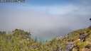 ./images/calvert/foggy-cove/20260613/foggy-cove20260613_111001M.jpg