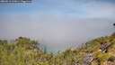 ./images/calvert/foggy-cove/20260613/foggy-cove20260613_113001M.jpg