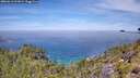 ./images/calvert/foggy-cove/20260613/foggy-cove20260613_121001M.jpg