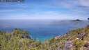 ./images/calvert/foggy-cove/20260613/foggy-cove20260613_121501M.jpg
