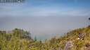 ./images/calvert/foggy-cove/20260613/foggy-cove20260613_132501M.jpg