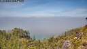 ./images/calvert/foggy-cove/20260613/foggy-cove20260613_133001M.jpg